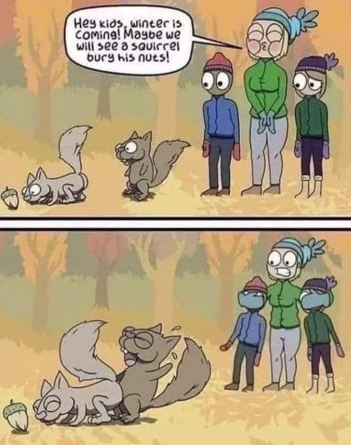 FB_IMG_1602170921758