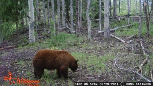 10686703_10204668934381859_7152804881320611785_n_10204668934381859