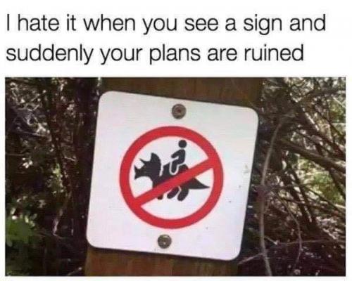 Ruined Plans