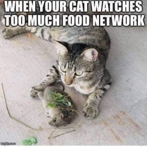 20:53:34 GMT-0500 (CDT)