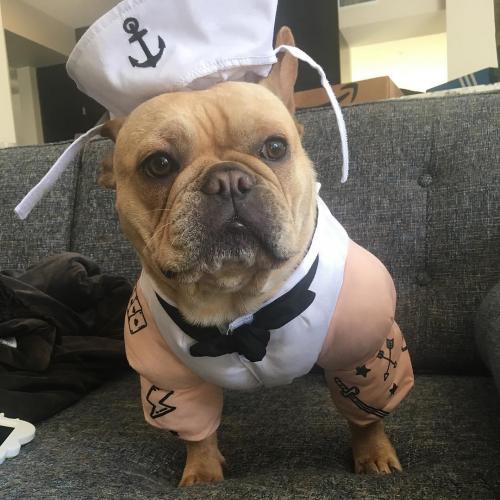 IMG_20200825_194907_064