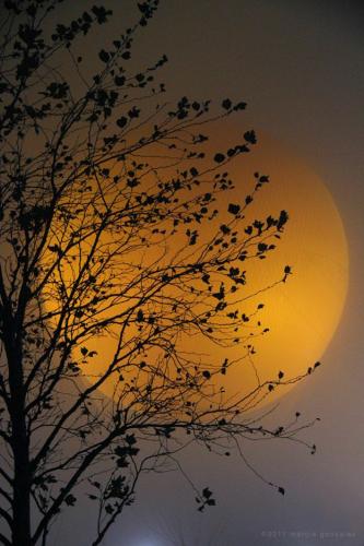 20:26:46 GMT-0500 (CDT)