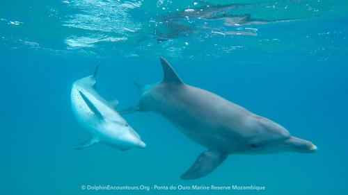 21:42:56 GMT-0400 (EDT)