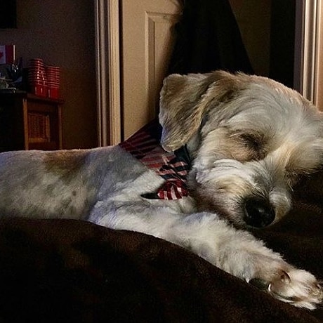 IMG_20200930_195322_137