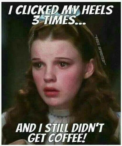 16508514_10202661906624763_7307324082434090070_n_10202661906624763