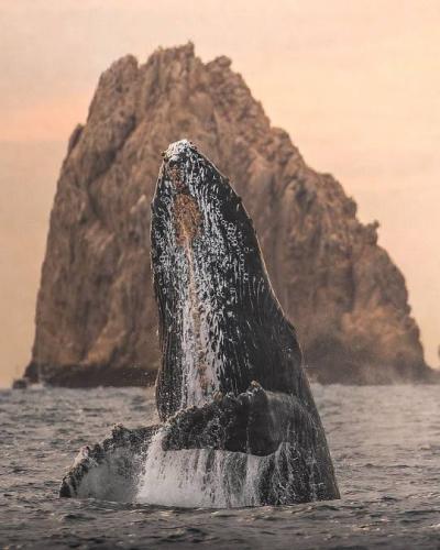 tumblr_563d965c2987b3f550e122780131c241_23b3da25_540