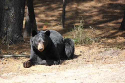 901283_10201079312763562_81629310_o_10201079312763562