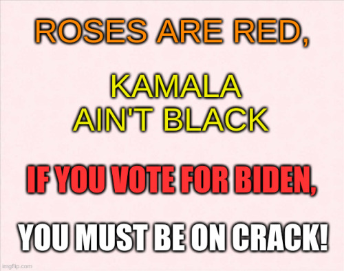 tumblr_00d6b322df62113d43a8051571b23d20_2a1f0869_500