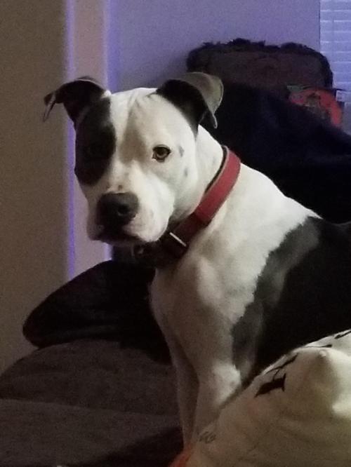 20:45:33 GMT-0500 (CDT)