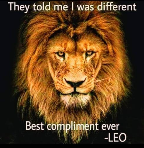 69490388_10213869688448016_6465195166654267392_n