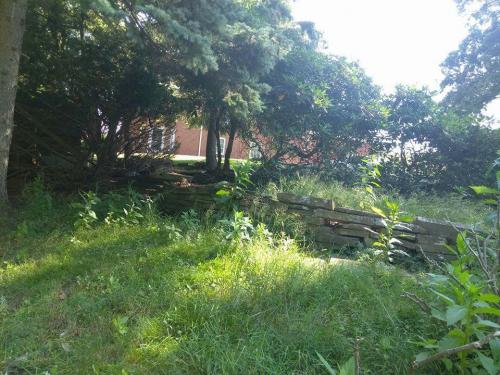 21314848_10203548537029969_4784849756299348501_n_10203548537029969