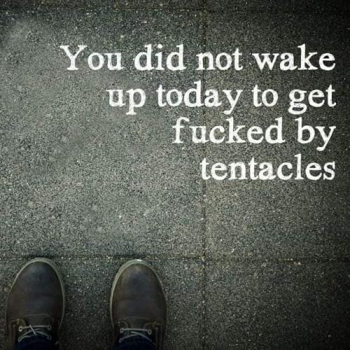 48175138_10205186777624960_669356359430438912_n_10205186777584959