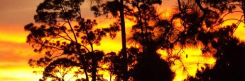 115836690_4067389563335588_5304263885843944569_n