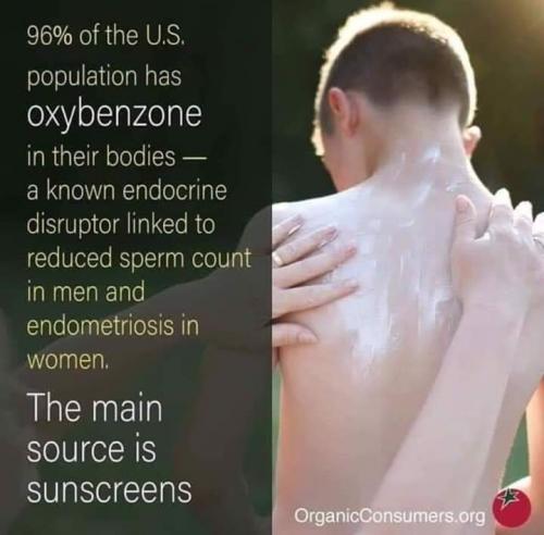 FB_IMG_1558726515364