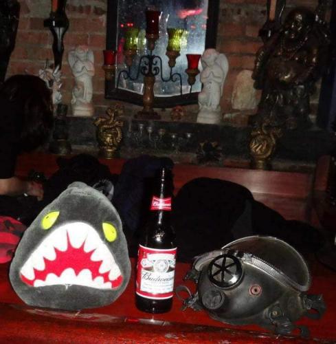 40602497_10204845169884980_8242832940208226304_n_10204845169844979