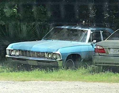 119471075_2705153253135586_3295026824069970256_n_2705153249802253