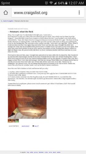 15493580_10202430225112870_108294289844438853_o_10202430225112870