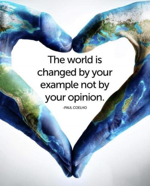 CB6E6678-1CCF-48AB-B9A9-987E83F2A876_1_201_a