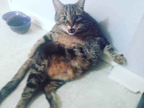 14468318_1265595933471097_8787681810808537683_o