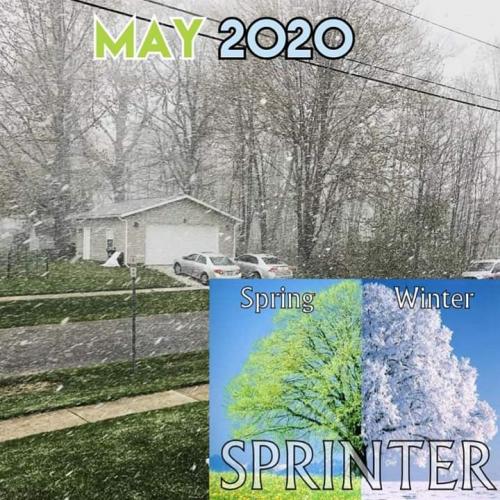 FB_IMG_1589037586648