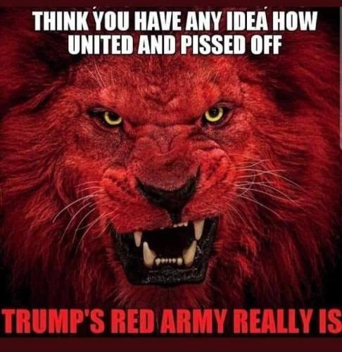 119227658_2628593827457645_1865166639632418530_n