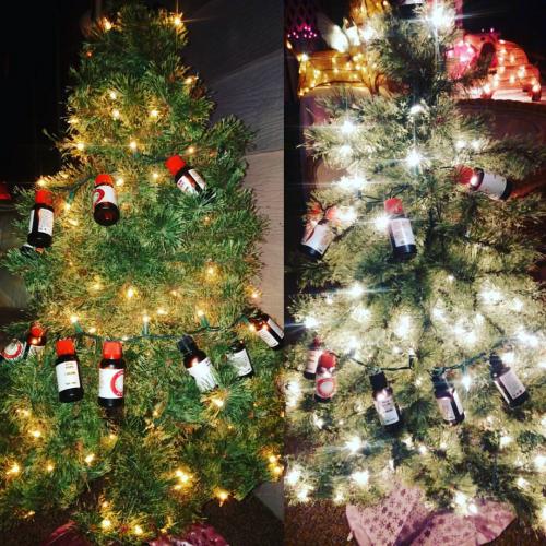 15403876_1338173416213348_8114010710747695890_o