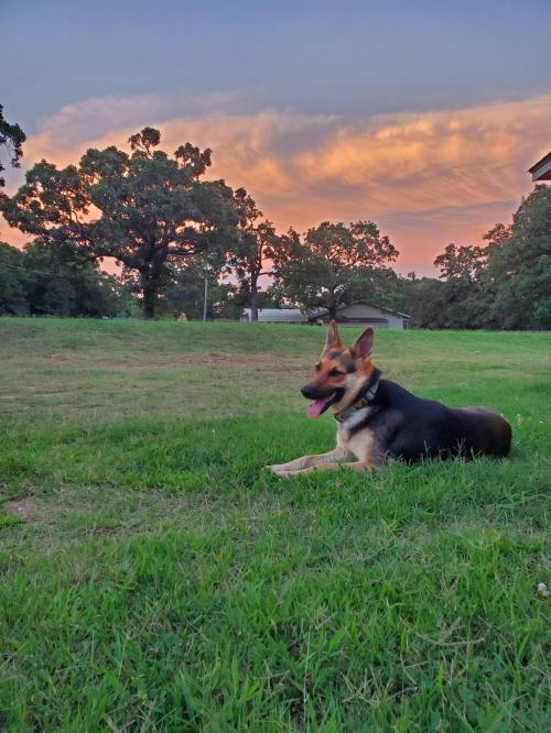 08:35:03 GMT-0500 (CDT)