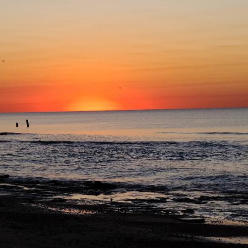 IMG_20201001_075212_979