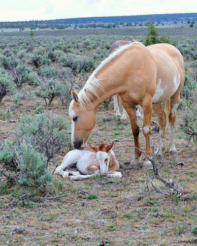 16:21:43 GMT-0500 (CDT)