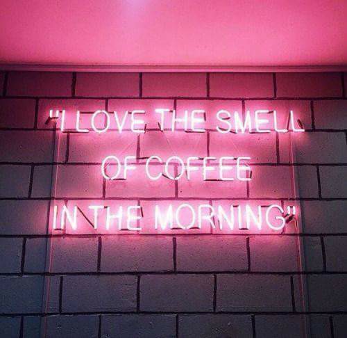 18740390_10203104161280853_7907983235939600446_n_10203104161280853