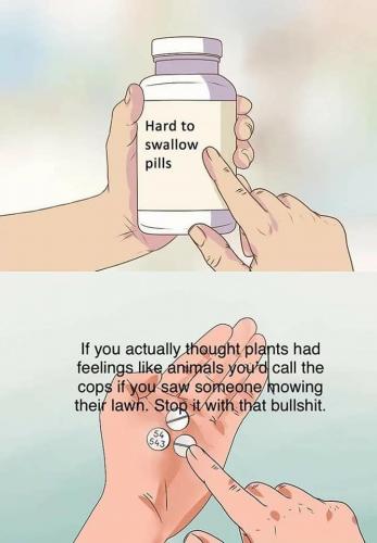 33732026_10204509173645284_2668896212492484608_n_10204509173605283