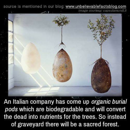 20258127_10203382675163526_4849600929745139281_n_10203382675163526