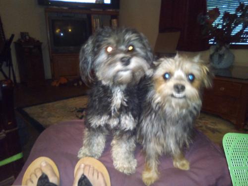 22:34:18 GMT-0500 (CDT)