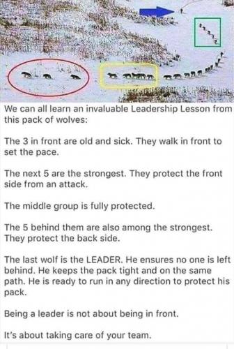 20:52:14 GMT-0400 (EDT)