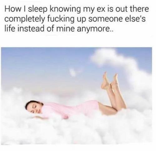 33773144_10204509259727436_7702038493978951680_n_10204509259687435