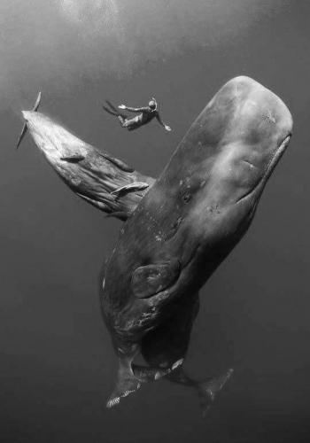 9d9318a7ec52c3b62768c8ebad25955d