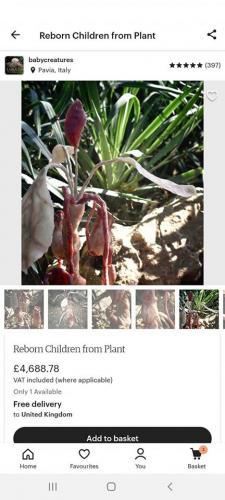 109543828_2843467525922201_5729101666818278965_o