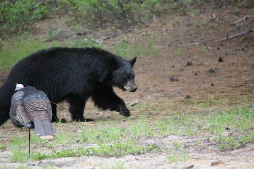 10474250_10204071916656789_4128183673716280934_n_10204071916656789