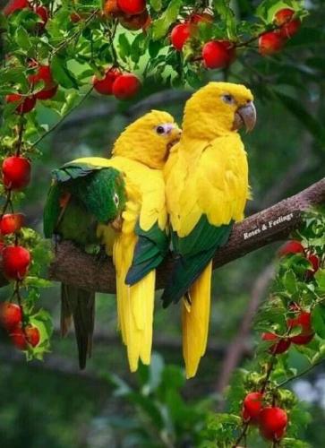 10:46:47 GMT-0500 (CDT)