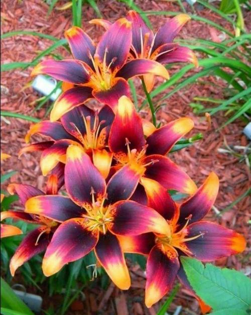 34644292-7BC7-448A-A035-C692557C4B56