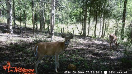 1208830_10201794160274303_746030754_n_10201794160274303