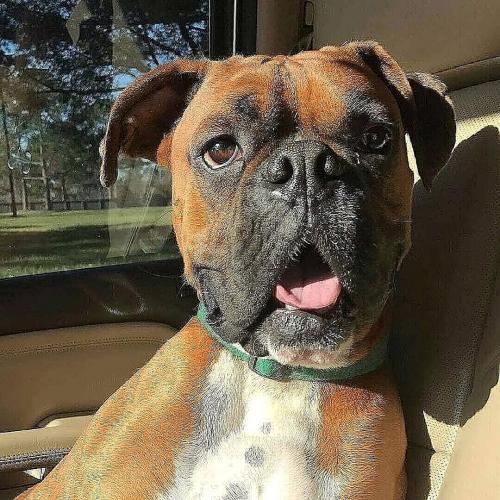 19:48:14 GMT+0100 (WAT)