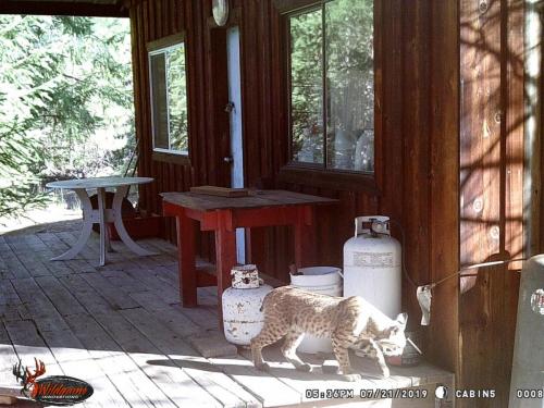 67059262_10219678056000519_2543881538550890496_o_10219678055960518