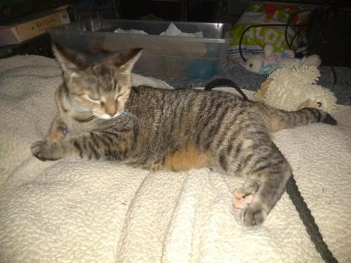 07:12:54 GMT-0500 (CDT)