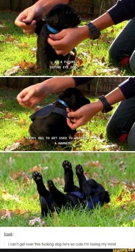 19:05:23 GMT-0400 (EDT)