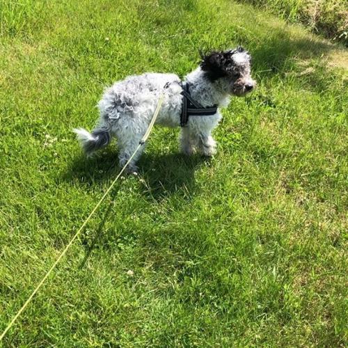 60722544_2660481760647211_6432011455783404210_n