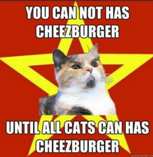 14066380_10201950365556681_4600598314569251921_o_10201950365556681