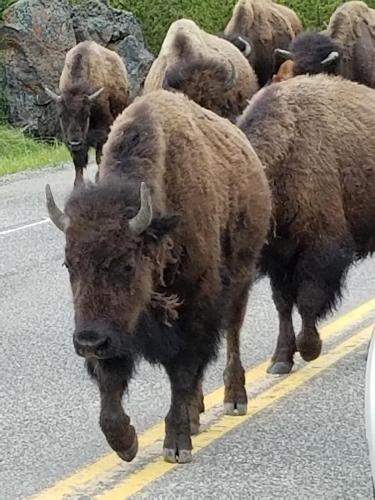 20:55:07 GMT-0600 (MDT)