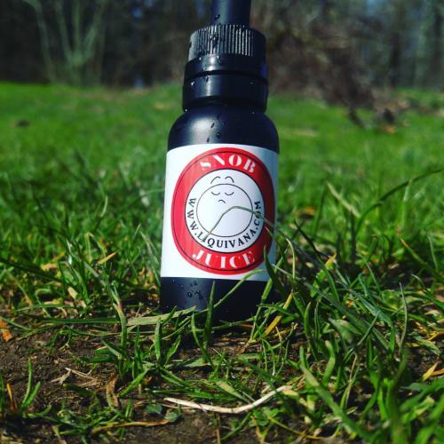 17310344_1437415962955759_379039554302757513_o