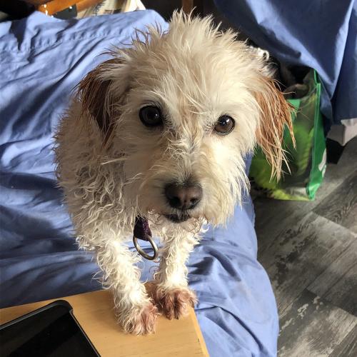 01:52:29 GMT+0100 (WAT)